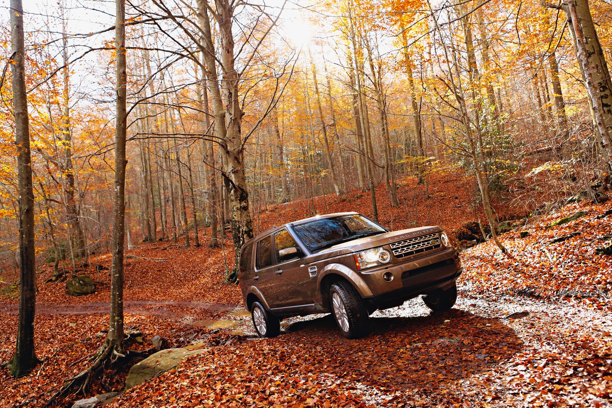 Капот в лесу. Ленд Ровер Рендж Ровер осень. Рендж Ровер в лесу. Land Rover range Rover в лесу. Ленд Ровер Форест Ровер.